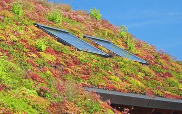 Kenfig Hill living roof systems